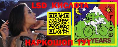 прущие грибы Коммунар