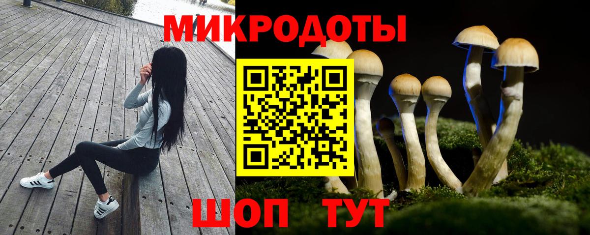 Иркутск  Псилоцибиновые грибы Psilocybe  Вход с VPN 